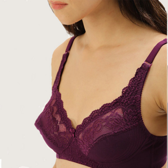 http://13.204.208.5/products/burgundy-lace-non-wired-non-padded-everyday-bra-db-bf-005c